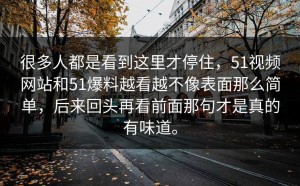 很多人都是看到这里才停住，51视频网站和51爆料越看越不像表面那么简单，后来回头再看前面那句才是真的有味道。