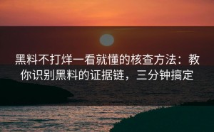 黑料不打烊一看就懂的核查方法：教你识别黑料的证据链，三分钟搞定