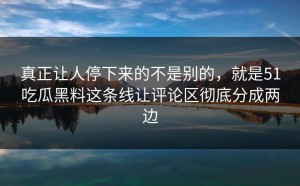 真正让人停下来的不是别的，就是51吃瓜黑料这条线让评论区彻底分成两边