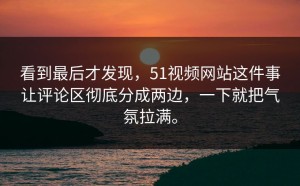 看到最后才发现，51视频网站这件事让评论区彻底分成两边，一下就把气氛拉满。