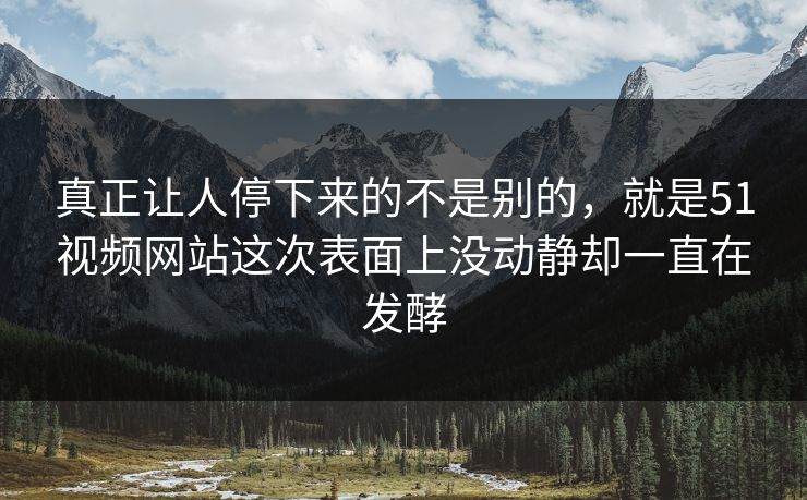 真正让人停下来的不是别的，就是51视频网站这次表面上没动静却一直在发酵